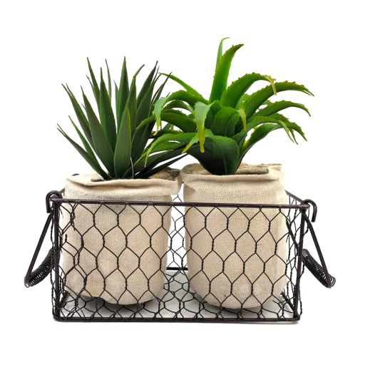 ALOE VERA X2PC + PANIER