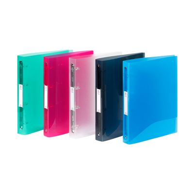 1 MAXI CLASSEUR A4 PROPY D40